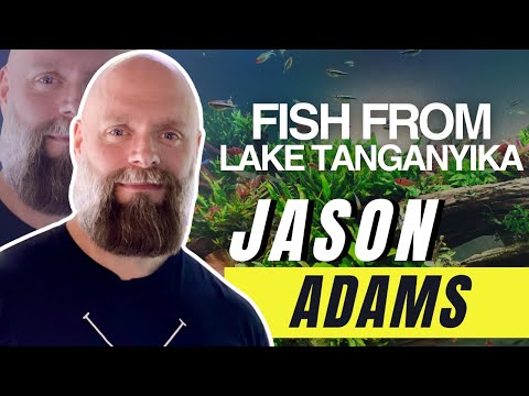 The Truth About Fish From Lake Tanganyika - Jason  🛑 👉Find out when our next event is!  ➡️ Aquashella Tickets_ https_//bit.ly/3oG2Dd6

The Aq