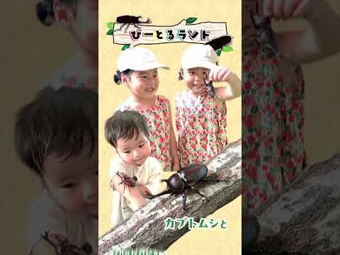 森林公園 こもれび夏フェスタ2026開催！ 国営武蔵丘陵森林公園 #夏 #夏休みの宿題  #夏休みの自由研究  #水遊び  #水遊びデビュー #ふれあい体験  #夏祭り  #盆踊り
