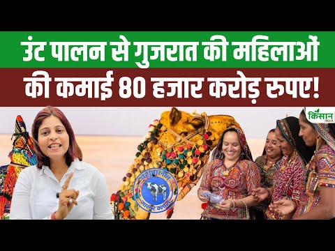 Amit Shah के सामने गुजरात की महिला ने उंटनी के दूध से कमाई के खोले राज!। Camel Milk। Dairy Industry