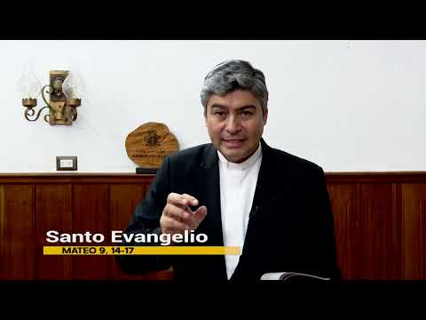 Evangelio 06 de Julio 2024