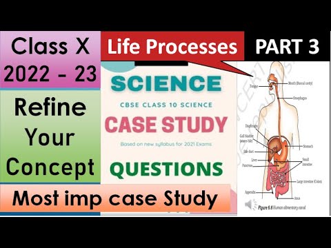 life processes class 10 case based question | Case Based QuestionsClass 10 2023| #lifeprocessclass10