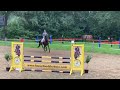 Show jumping horse Te koop springpaard (Spartacus x Oklund x Concorde)