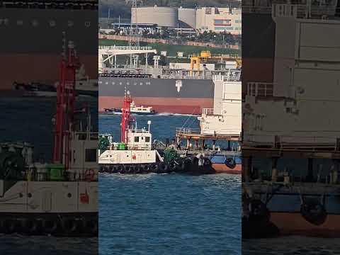 Mipo's daily life  - 107