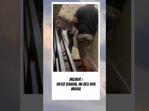 Kerja apa dia sampe bisa beli sofa pribadi 😭 #kucing #fyp #videolucu