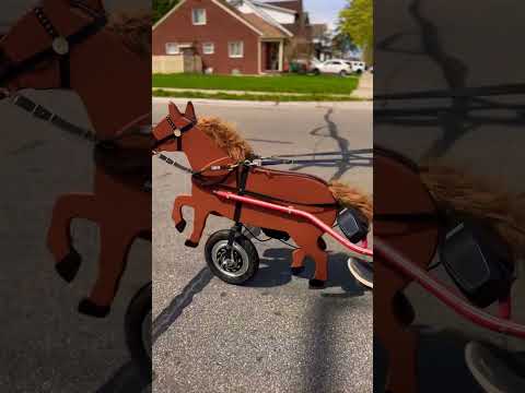 If it has wheels it must be paired with a motor! 🐎⚡️#ebike #diy #ebikelife #horse #bikelover