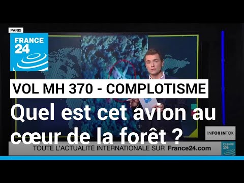 Le MH 370 fascine toujours autant les complotistes • FRANCE 24