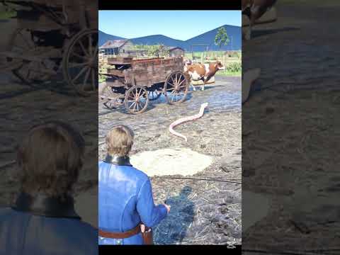 E.889 Simulate stunning survival skills #shorts #viral