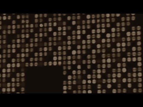 Whaler – Мирний Атом
