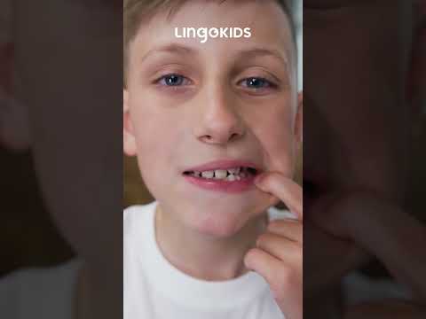 HYGIENE SONG for Kids 🪥🧼 Let's Make HYGIENE HABITS Fun ✨ #hygienesong  #lingokids