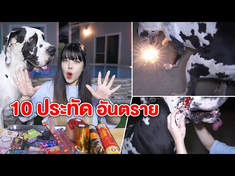 10-ประทัดอันตราย-ระเบิดแตงโต-ห 10-ประทัดอันตราย-ระเบิดแตงโต-ห