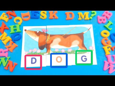 Learn To Read & Spell With 3 Letter Sight Words - ABC Letter Word Phonics