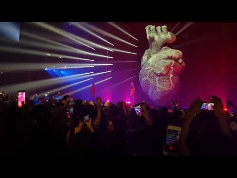 Pnl Dans Ta Rue Live à Bercy