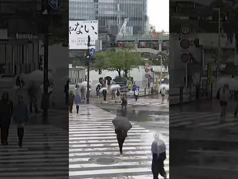 Storm Jangmi Nears Tokyo, Flights Halted