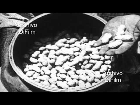 El Mani - Pelicula documental desde su siembra hasta su comercializacion 1925