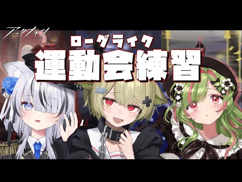 【#アークナイツ 】我々はやるときはやります！！！練習しまふ🤍💚🩷【Vtuber / 歌喰猫よもぎ】