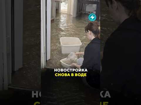 Новостройка снова в воде / Новости Беларуси #витебск #квартира #новостройки #потоп #плесень