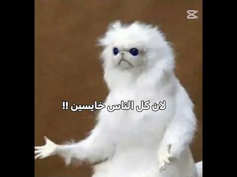 الفيديوهات الجيه حماسس اجهزوا🤓😍