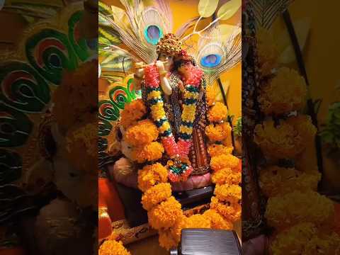 #janmashtamispecial #shorts