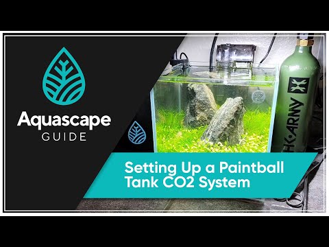 AquascspeGuide - Setting Up a Paintball Tank CO2 S #AquascapeGuide #Fertilizer #PlantedAquarium

In this video we talk about_ 
0_00 - Introduction
0_43