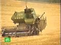 Пшеница: Аграрный Рекорд России