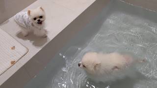 動画サムネイル