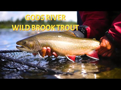Gods River Brook Trout & Northern Pike