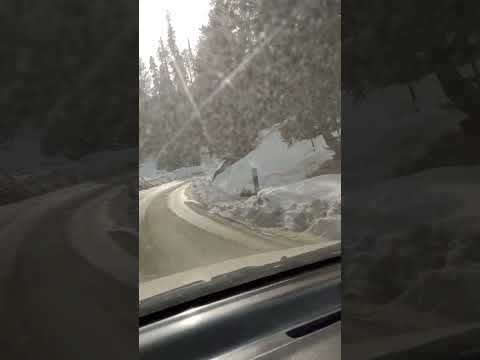 #manali #nature #travel