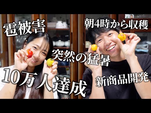 【感謝】2025年も生梅の発送が終了しました！兄妹で思い出を語ります
