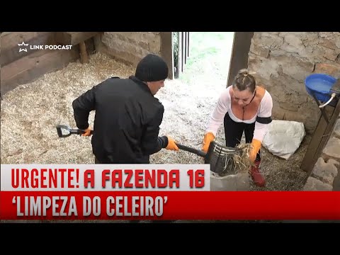 SACHA AJUDOU FLOR A CUIDAR DOS ANIMAIS | LINK PODCAST