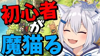 【RO】アニバ全然出来てないから全部回りたい！【ラグナロクオンライン】