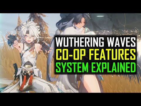 Wuthering Waves Everything Multiplayer or Co-op