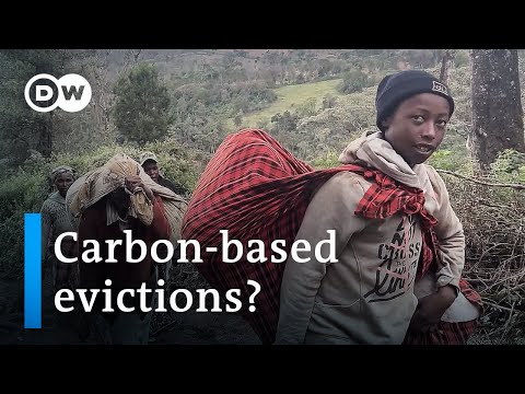 Kenya's indigenous Ogiek evicted from ancestral lands for carbon credits | DW News