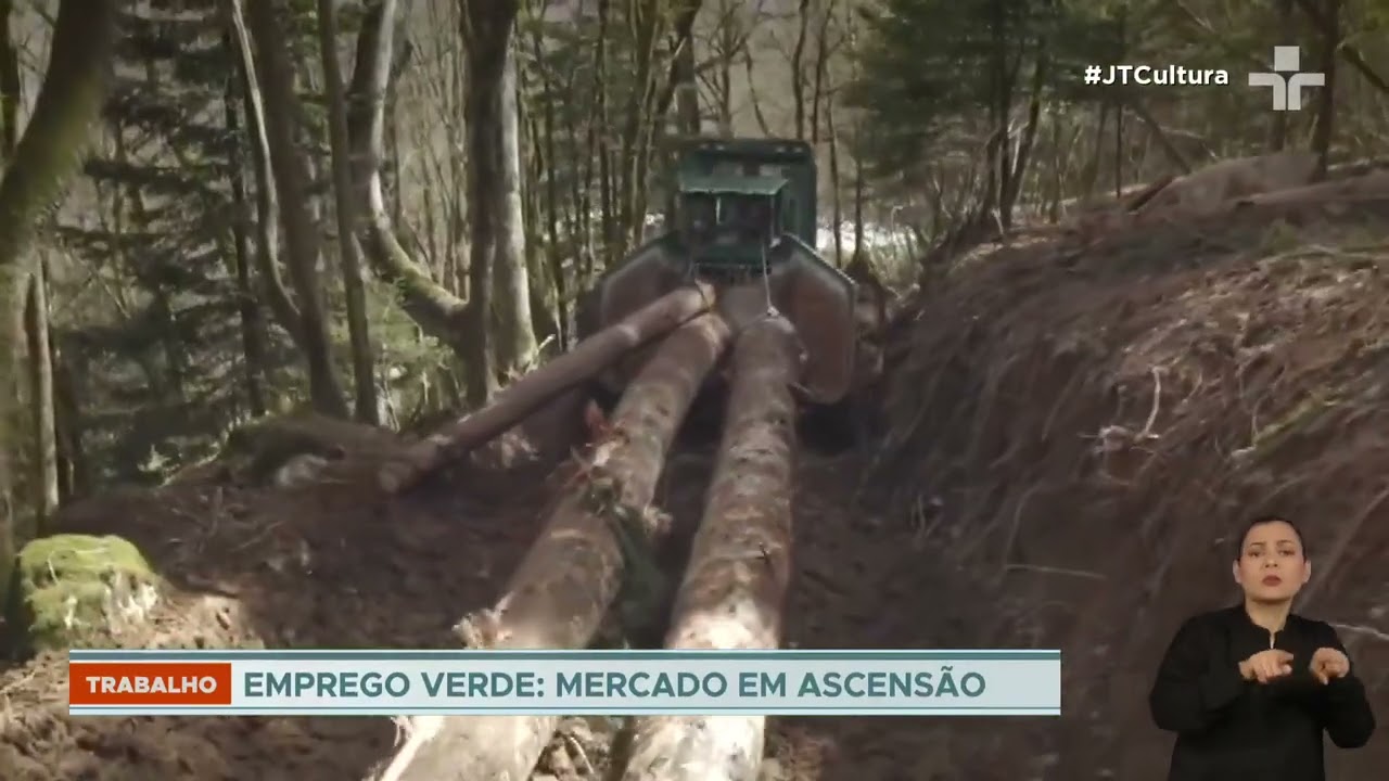 Jovens são a maior força nos empregos verdes aponta relatório do UNICEF