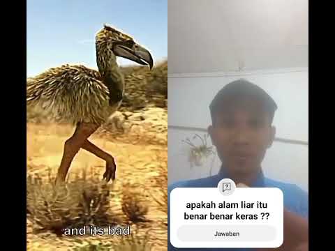 WILD : EXTREM FACT WORLD, NATGEO, AMAZONE RIVER #shorts #wildlife