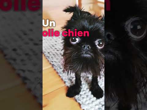 et oui sa recommence🤣