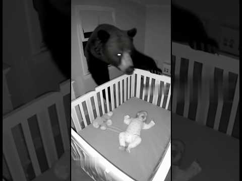 BEAR Broke Into BABIES Room! “SHOCKING” Nursery Room Footage