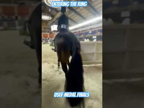 Carsyn’s first USEF Medal Finals 2025 aboard Indy #equestrianjourney #equestrian   #showjumping