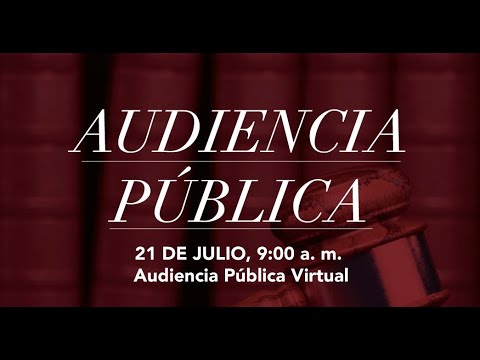 Audiencia Pública virtual - Tribunal Constitucional RD
