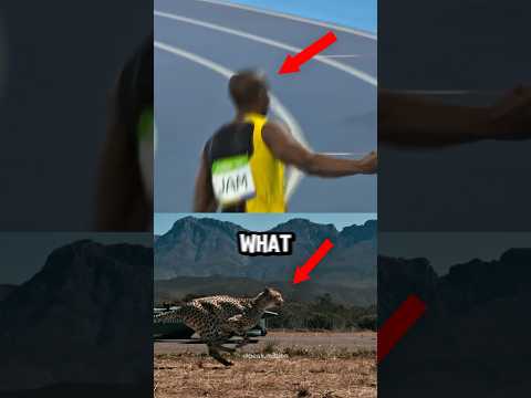 USAIN BOLT vs FASTEST LAND ANIMAL ⚡️🤯 #usainbolt #cheetah #trackandfield