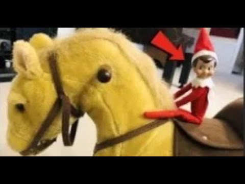 ELF FLYS MAGICAL HORSE!