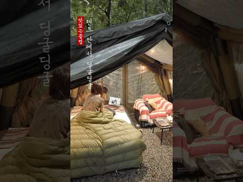 텐트 안에서 딩굴딩굴 #캠핑브이로그 #camping #캠핑asmr 텐트 안에서 딩굴딩굴 #캠핑브이로그 #camping #캠핑asmr