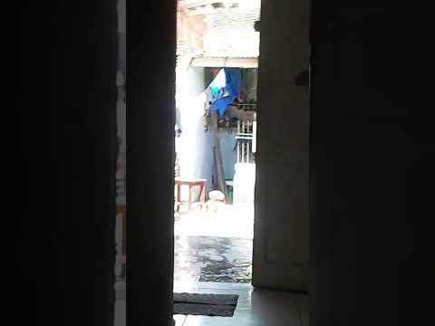 27 de outubro de 2025