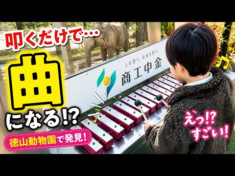 さぁ、徳山動物園に行こう。