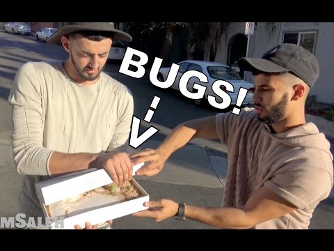 BUGS IN BIRTHDAY PRESENT PRANK!!!