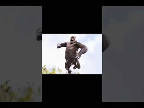 T-REX 🦖 DINOSAUR🦍 KONG CAL🥵 ISLAND MOVIE KONG 🤡VST-REX#shorts #movie #kong #dinosaur #shere #short