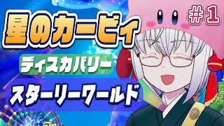 星のカービィ ディスカバリ― スターリーワールド