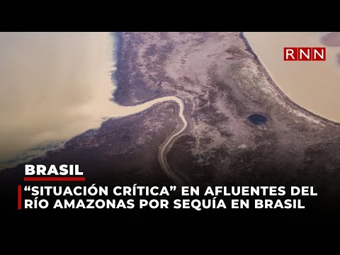 “Situación crítica” en afluentes del río Amazonas por sequía en Brasil