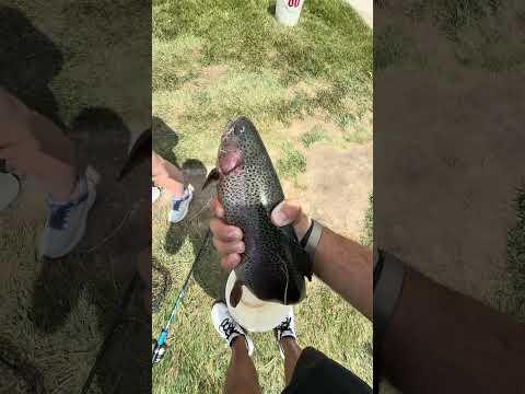 Trout fishing colorado, kind of… video thumbnail
