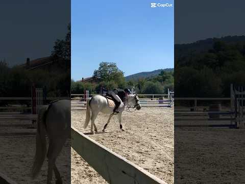 ❤️‍🩹❤️‍🩹#modelecapcut #equestrian #horse #cavalierlife