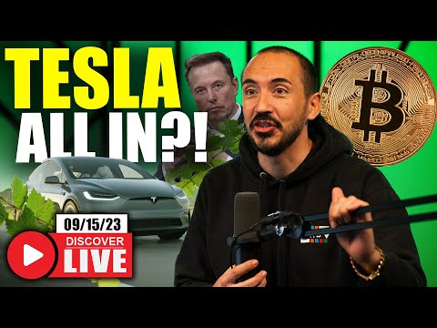 Tesla Buying Bitcoin?! (XRP Continues Winning Streak)